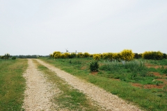 copertura Borgo Montello