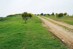 copertura invaso Ecoambiente