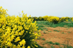 vecchio invaso Ecoambiente