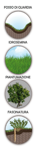 piantumazioni